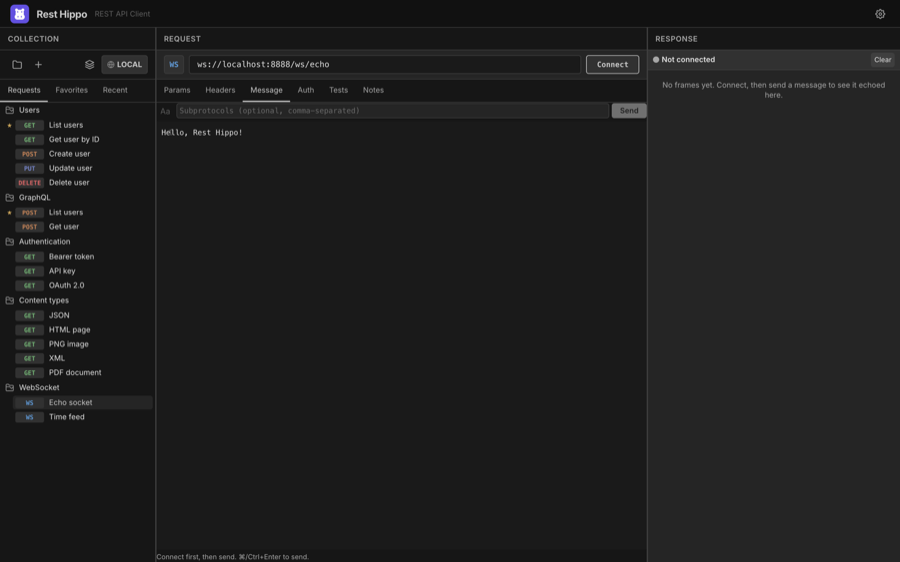 A WebSocket request, ready to connect