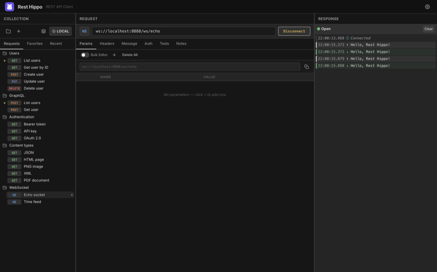 A connected WebSocket session with echoed frames